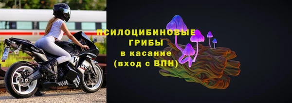 PSILOCYBIN Алзамай