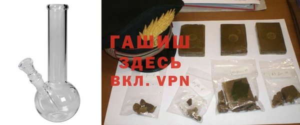 PSILOCYBIN Алзамай