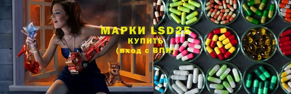 PSILOCYBIN Алзамай