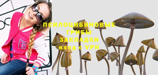 спайс Армянск
