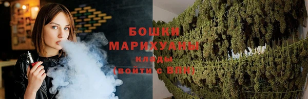 PSILOCYBIN Алзамай