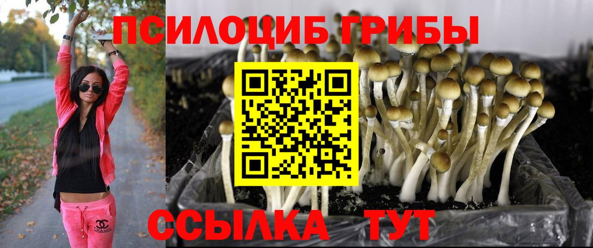 Галлюциногенные грибы мицелий  Вход с VPN  Уссурийск 